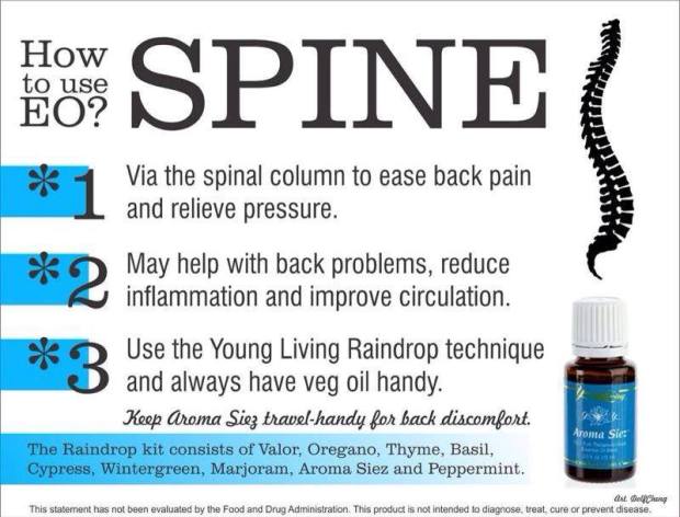 use eo spine